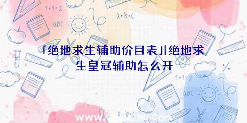 「绝地求生辅助价目表」|绝地求生皇冠辅助怎么开